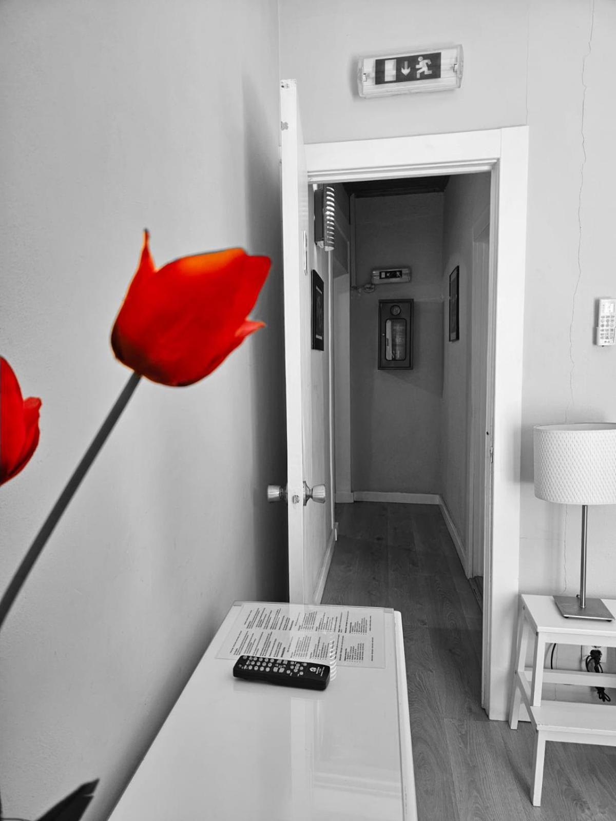 Alcamim Guesthouse Elvas Eksteriør billede
